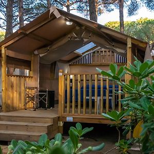 Mini Lodge