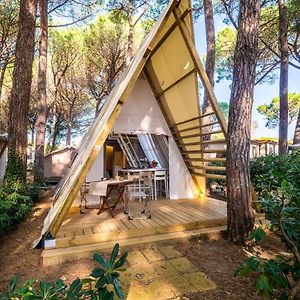 Lodge